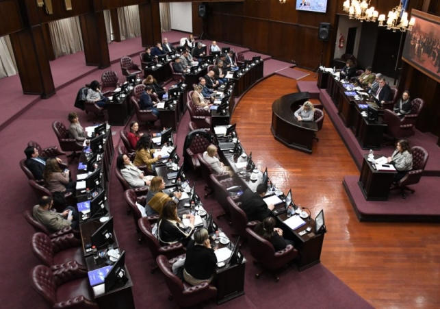 Camara de diputados